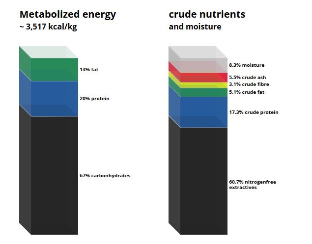 C 1043 Molybdenum deficient diet.JPG